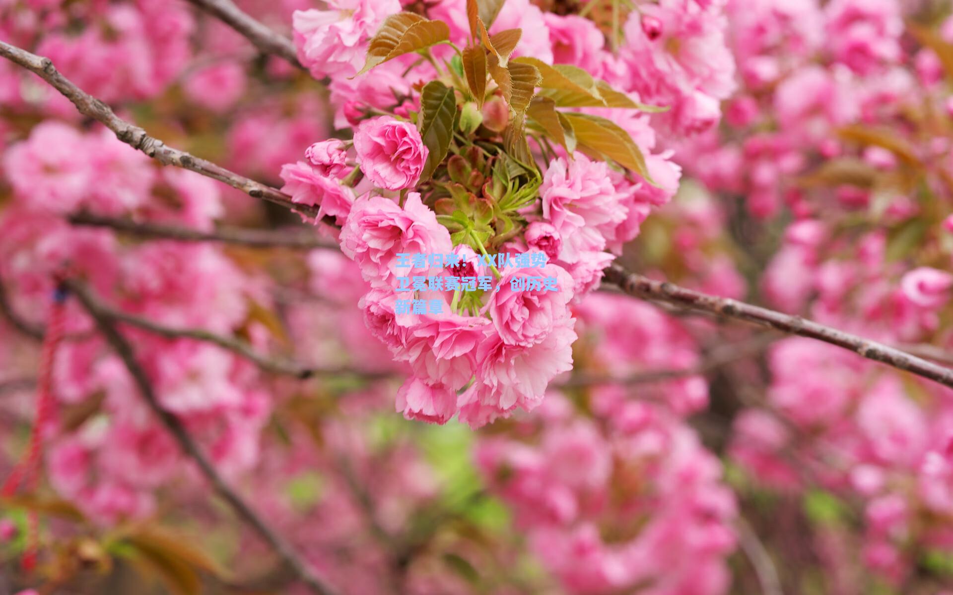 王者归来!XX队强势卫冕联赛冠军,创历史新篇章