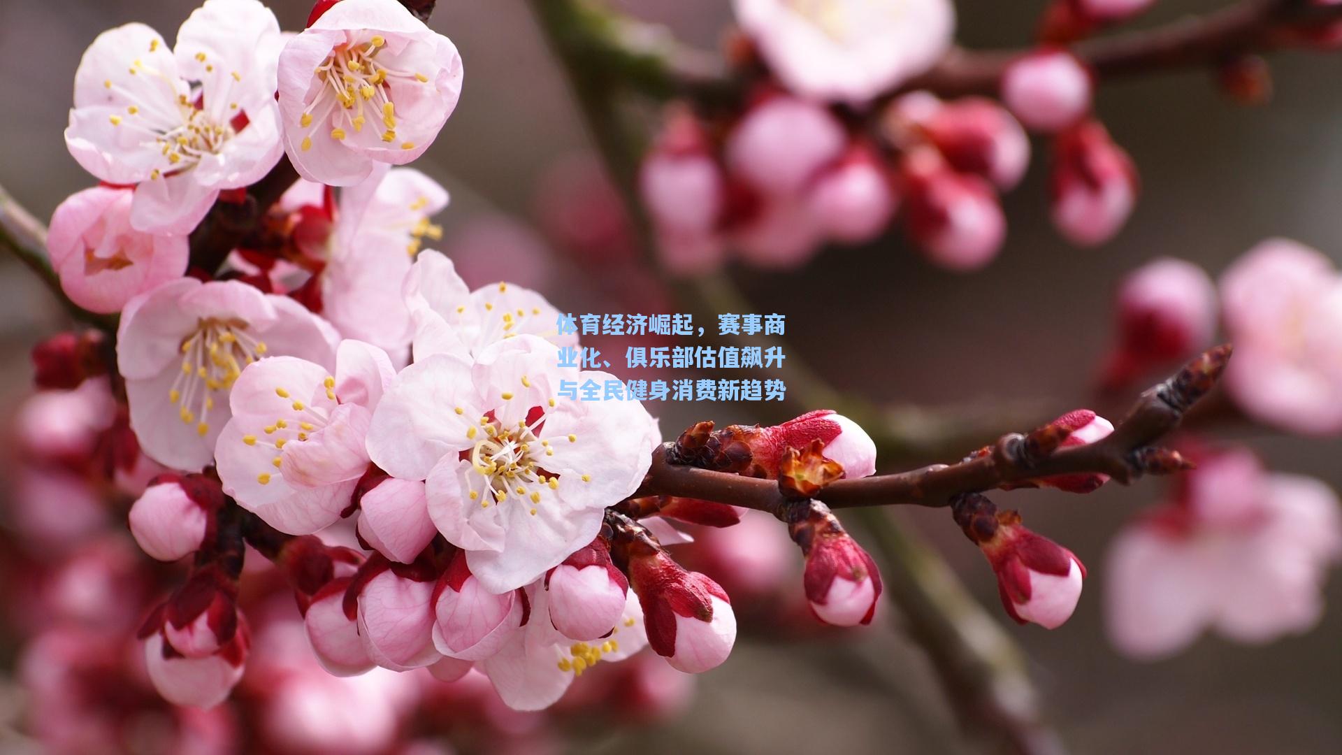 体育经济崛起,赛事商业化、俱乐部估值飙升与全民健身消费新趋势