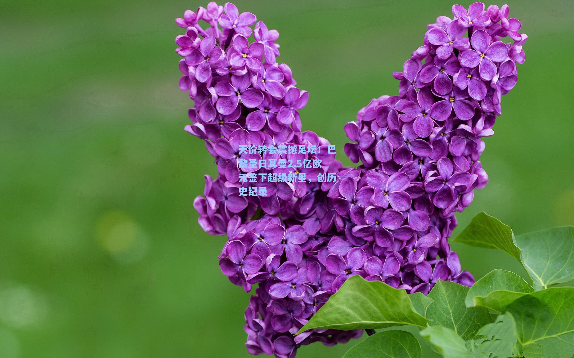 天价转会震撼足坛!巴黎圣日耳曼2.5亿欧元签下超级新星,创历史纪录