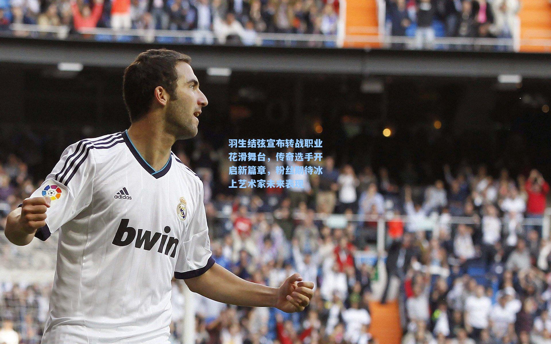 羽生结弦宣布转战职业花滑舞台，传奇选手开启新篇章，粉丝期待冰上艺术家未来表现