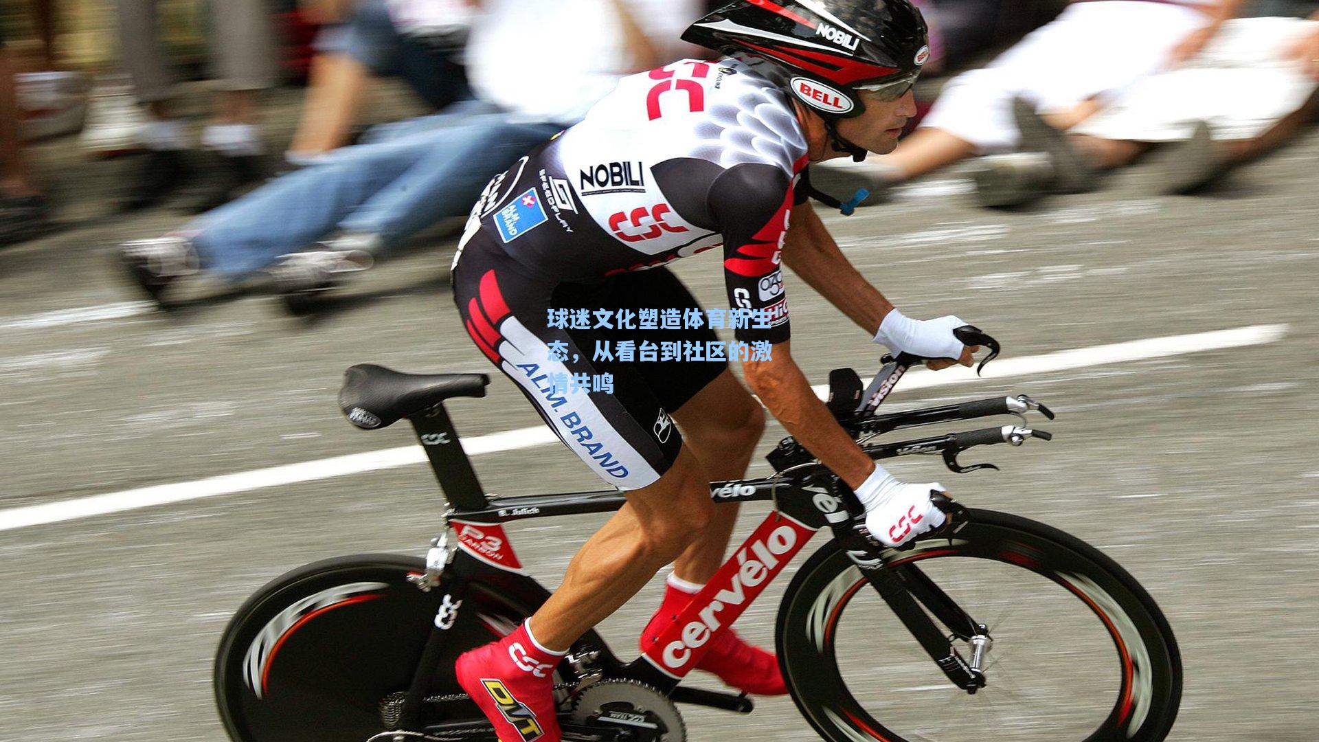 海星直播：球迷文化塑造体育新生态，从看台到社区的激情共鸣